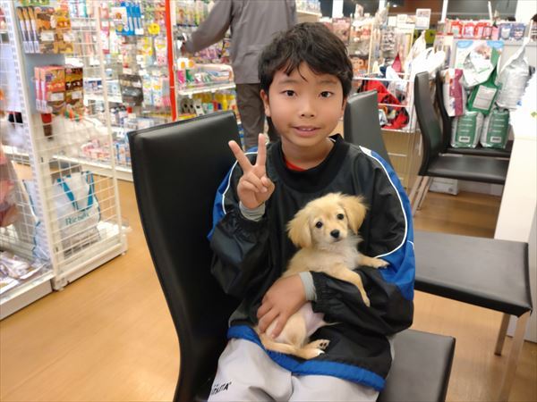 写真