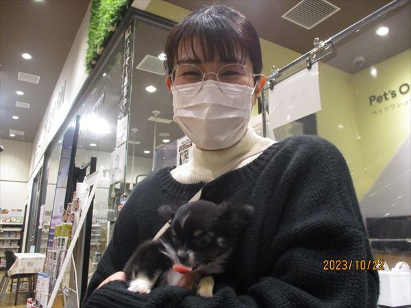 写真