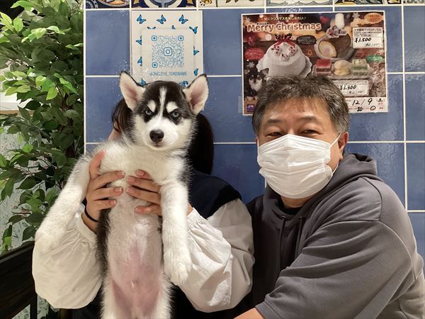 写真