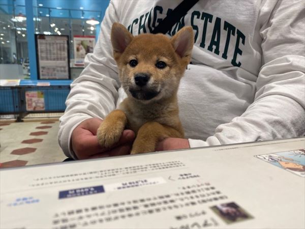 写真