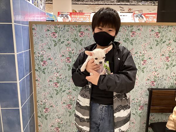 写真