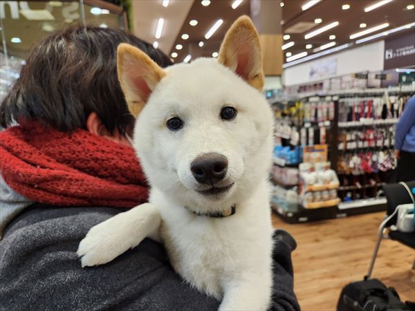 写真