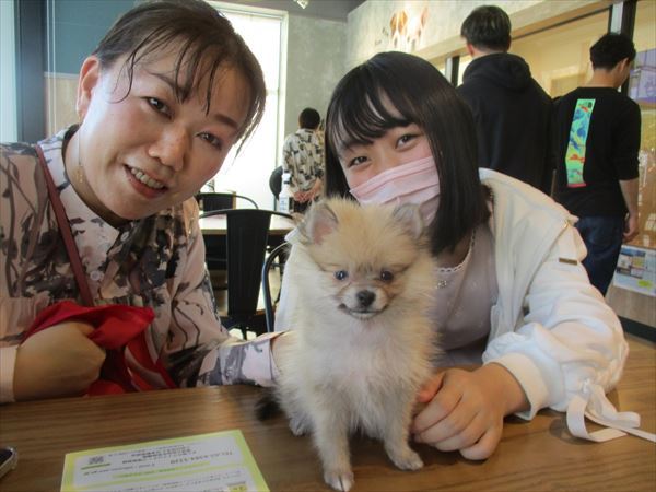 写真