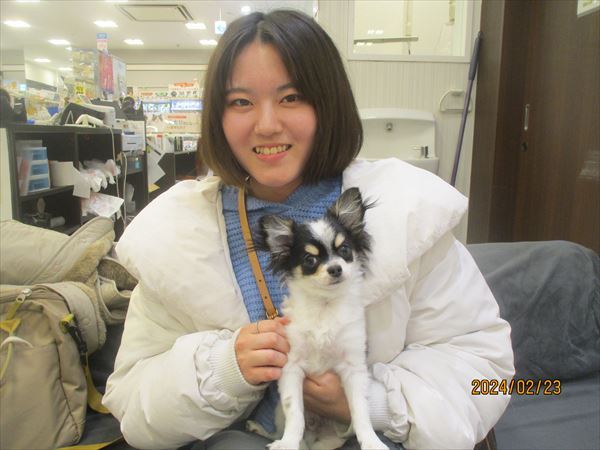 写真
