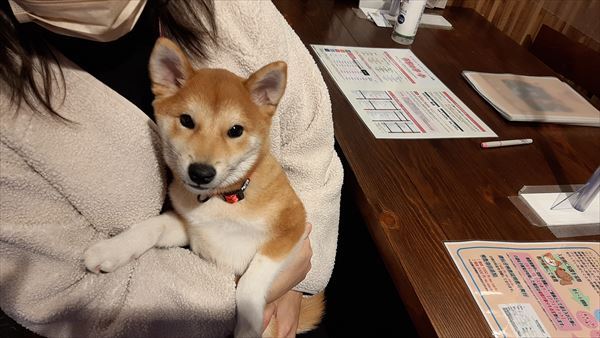 写真