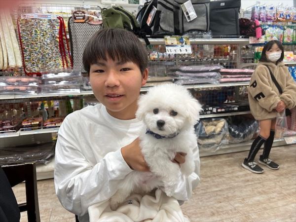 写真