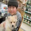 写真
