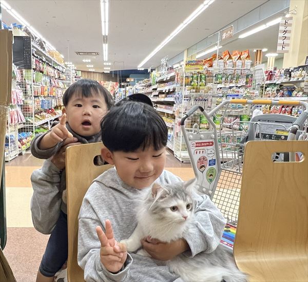 写真