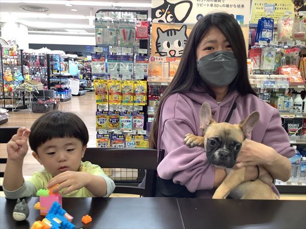 写真