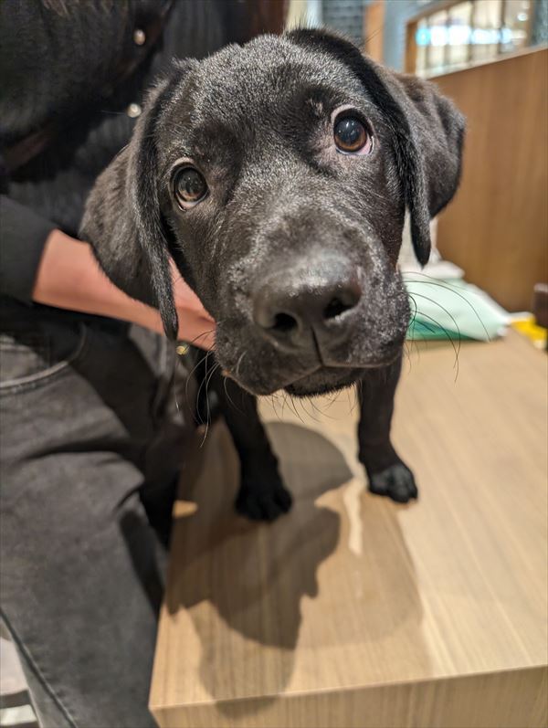 写真