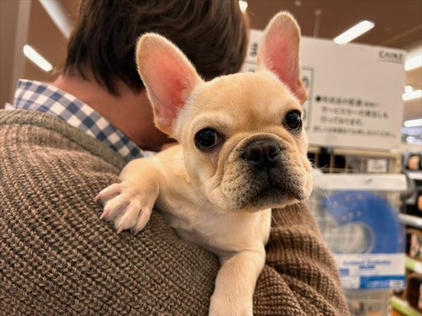 写真