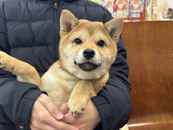 写真