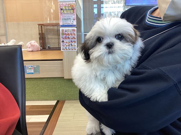 写真