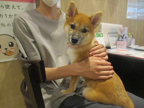 写真