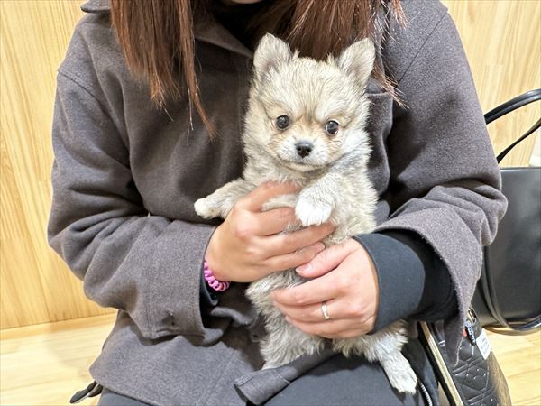 写真