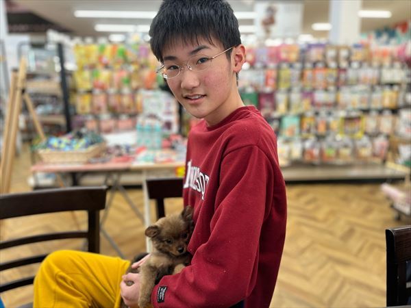写真