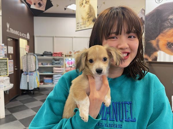 写真