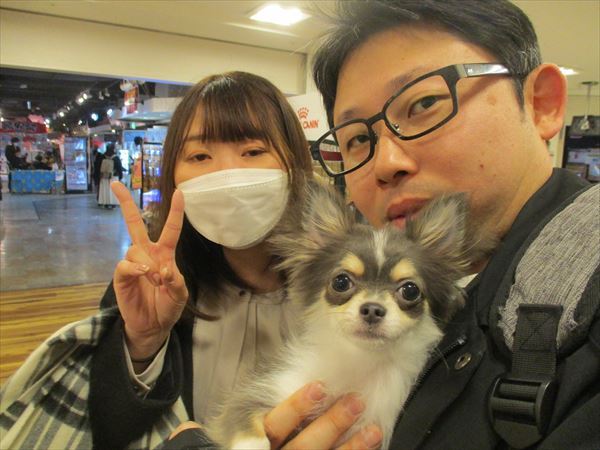 写真