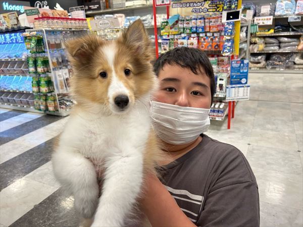 写真