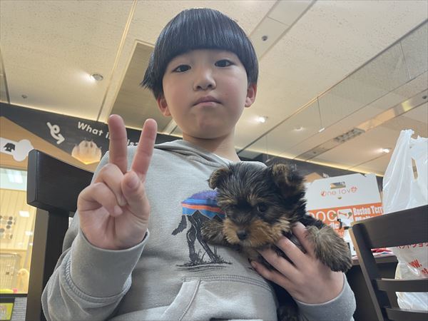写真
