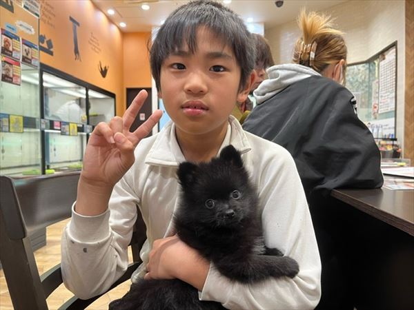 写真