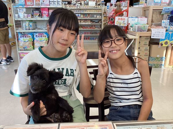 写真