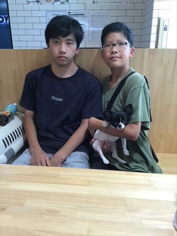 写真