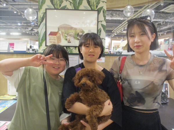 写真