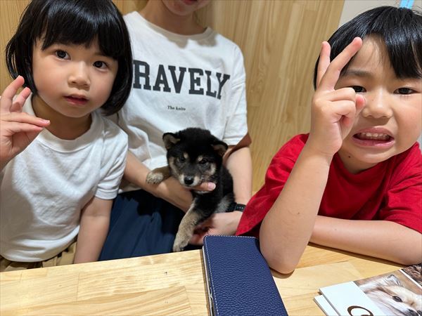 写真