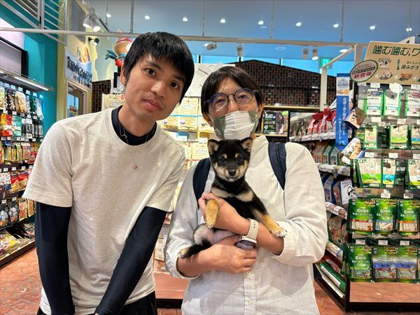 写真