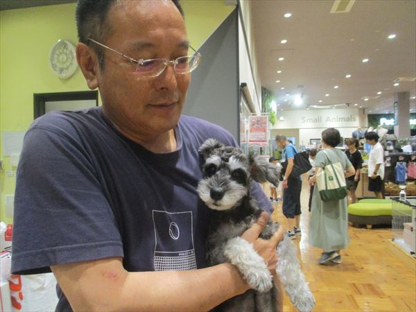 写真