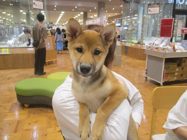写真