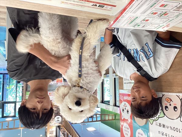 写真
