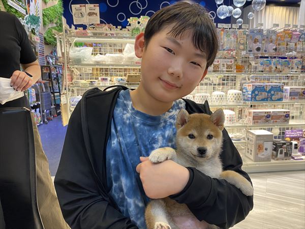 写真
