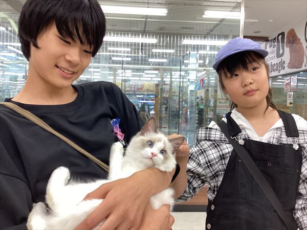 写真