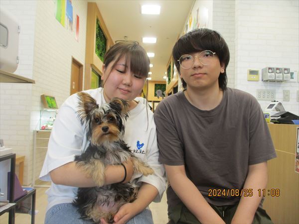 写真