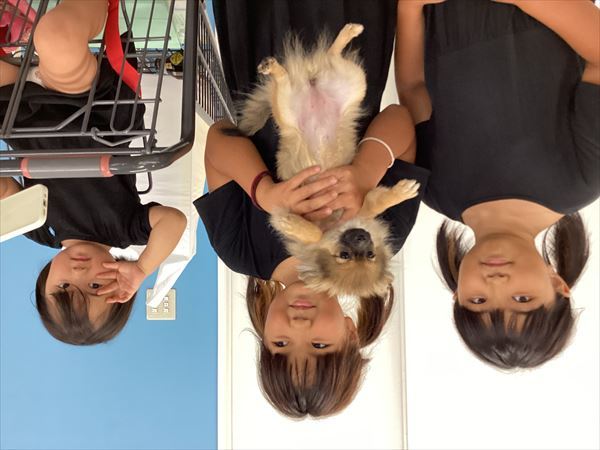 写真