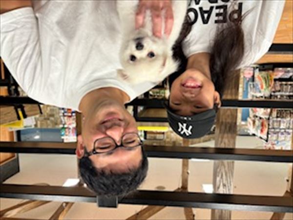 写真