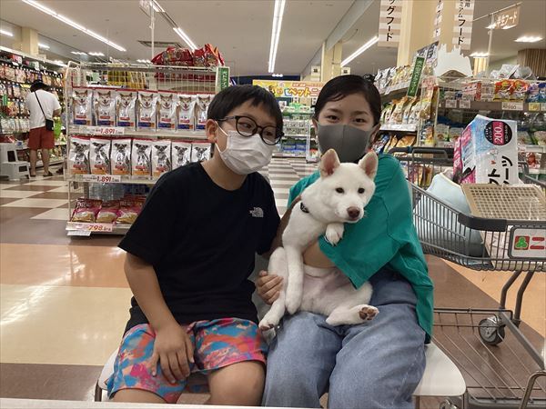 写真