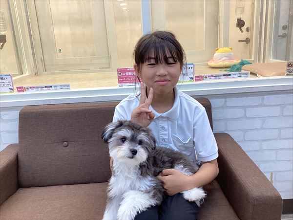 写真