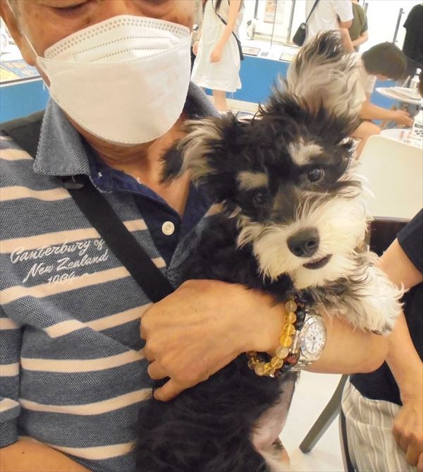 写真