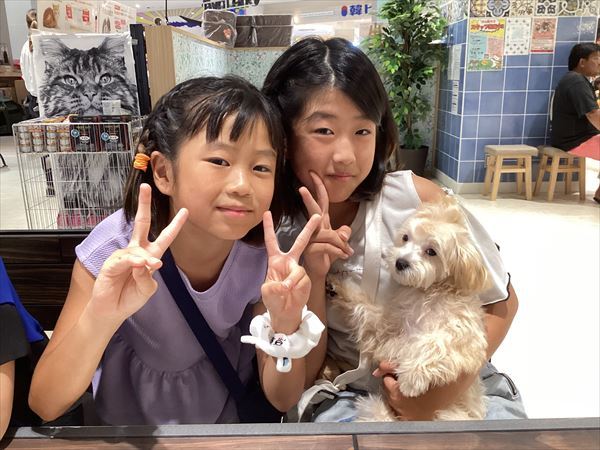 写真