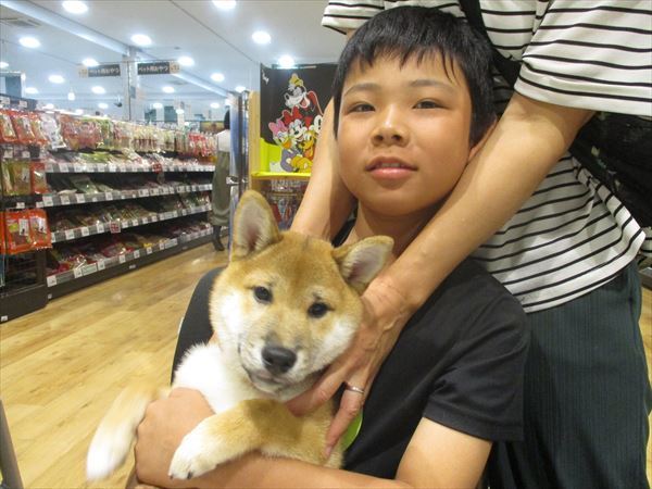 写真