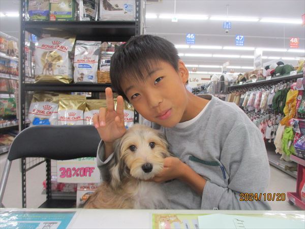 写真