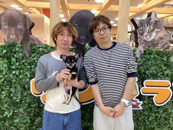 写真