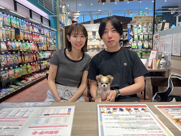 写真