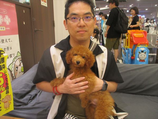 写真