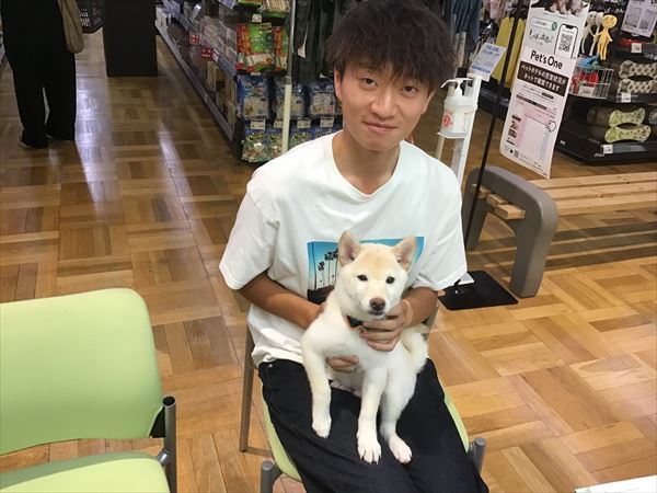 写真