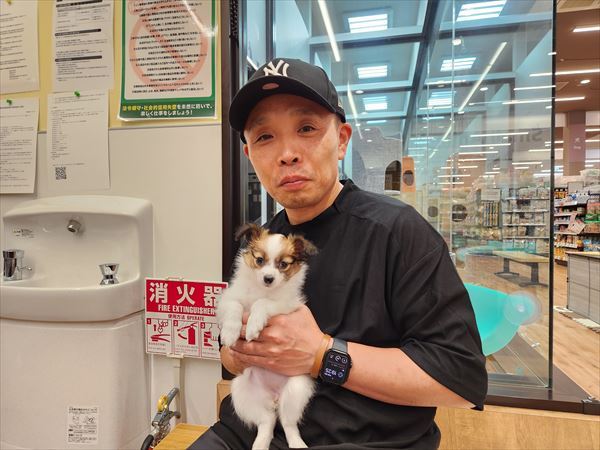 写真