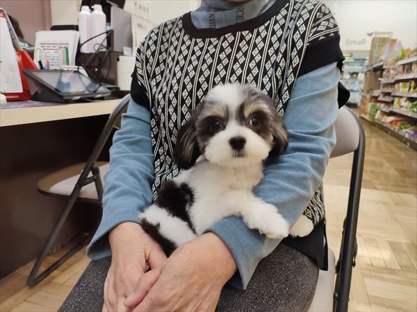 写真